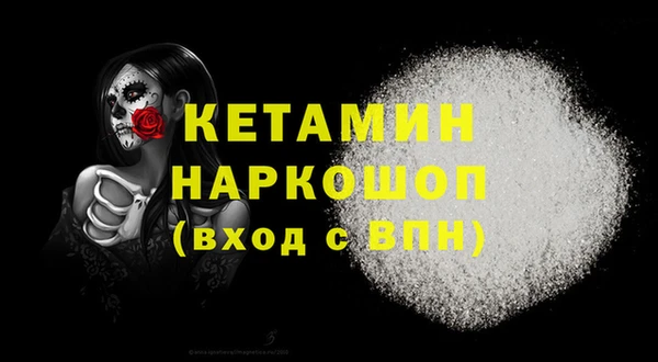 крисы Надым