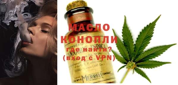 крисы Надым