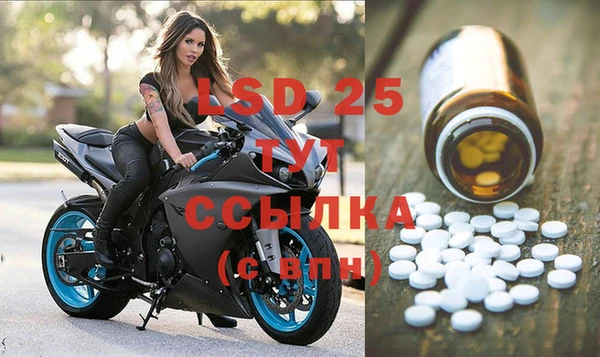 крисы Надым