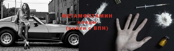 крисы Надым