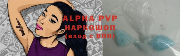 прущие грибы Навашино