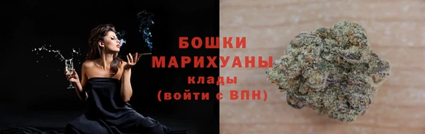 крисы Надым