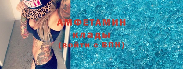 прущие грибы Навашино