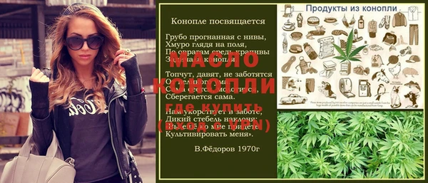 крисы Надым