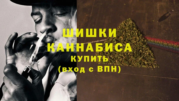 прущие грибы Навашино