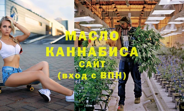 крисы Надым
