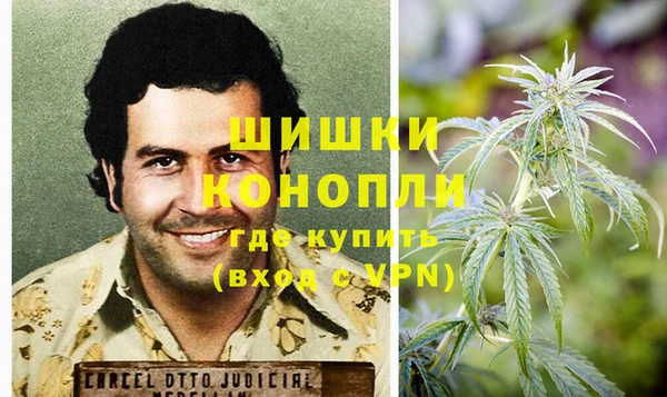 крисы Надым
