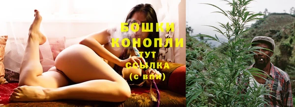 гидра Наволоки