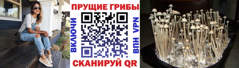 Галлюциногенные грибы GOLDEN TEACHER закладки ОМГ ОМГ как войти Серпухов