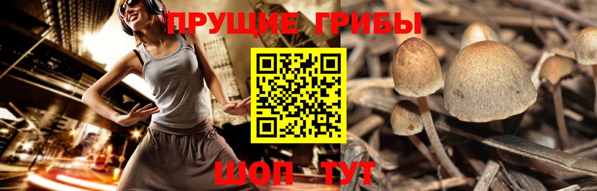 Галлюциногенные грибы мицелий Серпухов